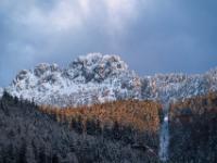 Bergwald unter der Kampenwand Westflanke im Abendlicht